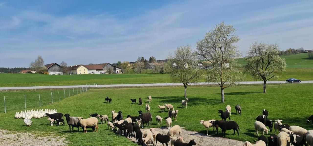 Landgasthof Entenwirt Tarsdorf 外观 照片