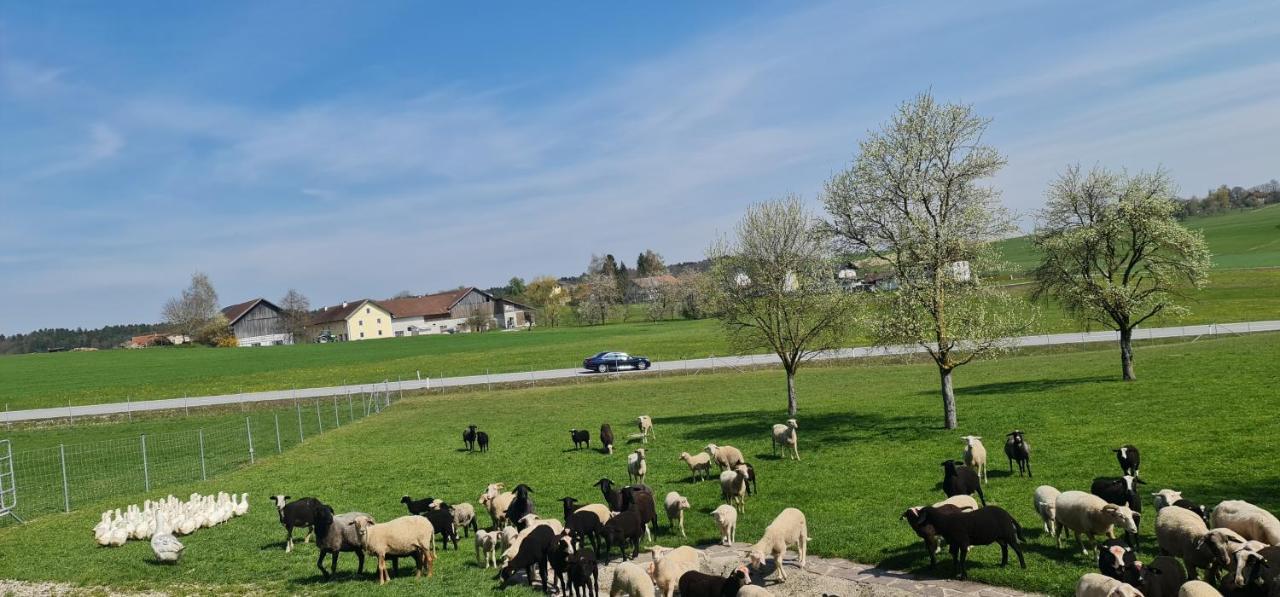 Landgasthof Entenwirt Tarsdorf 外观 照片
