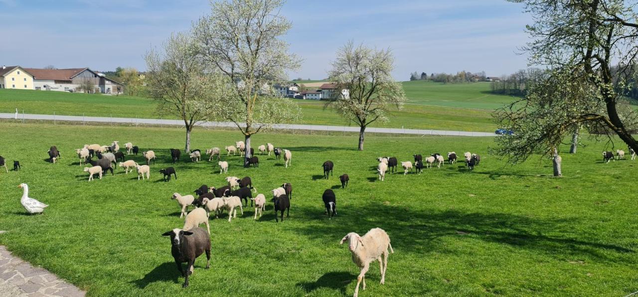 Landgasthof Entenwirt Tarsdorf 外观 照片