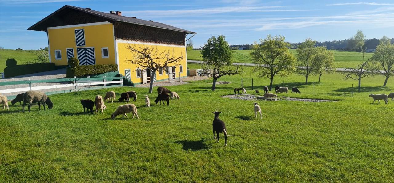 Landgasthof Entenwirt Tarsdorf 外观 照片